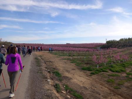 Imagen Más de 100 visitantes en las rutas de la floración organizadas por la...